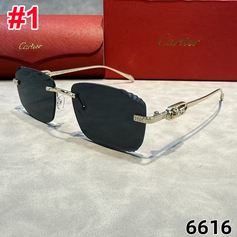 C-sunglasse（6616）C-sunglasse（6616）