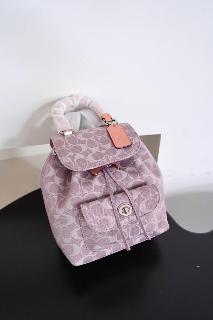C-Backpack(CS318)C-Backpack(CS318)